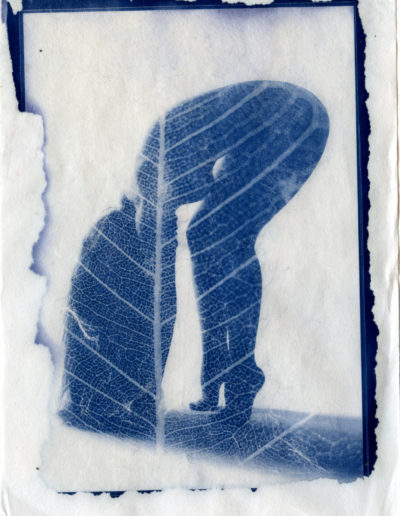 Cyanotype_3