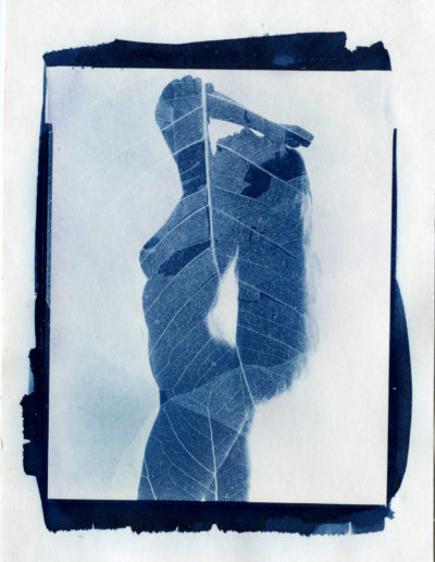 Cyanotype_2