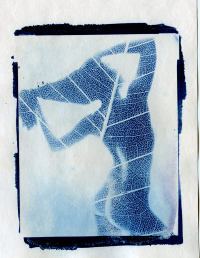 CyanoType_1